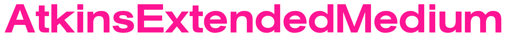 AtkinsExtendedMedium預(yù)覽圖片
