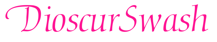 DioscurSwash預覽圖片