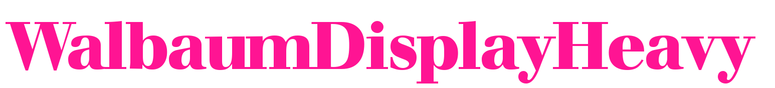 WalbaumDisplayHeavy預覽圖片