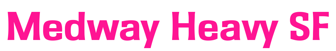 Medway Heavy SF預(yù)覽圖片
