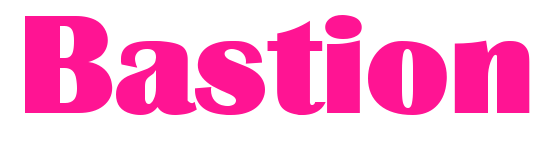 Bastion預覽圖片
