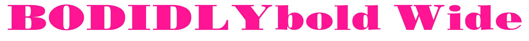 BODIDLYbold Wide預覽圖片