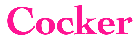 Cocker預覽圖片