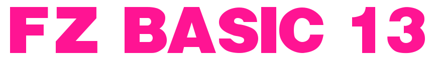 FZ BASIC 13預(yù)覽圖片