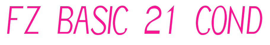 FZ BASIC 21 COND