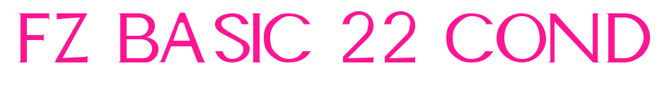 FZ BASIC 22 COND
