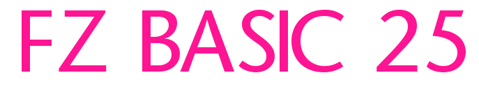 FZ BASIC 25預(yù)覽圖片