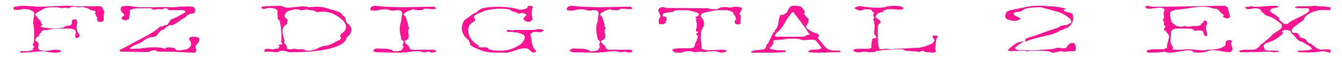 FZ DIGITAL 2 EX預(yù)覽圖片