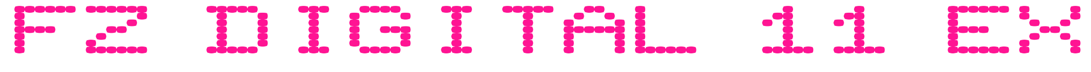FZ DIGITAL 11 EX預(yù)覽圖片