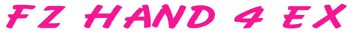 FZ HAND 4 EX預(yù)覽圖片