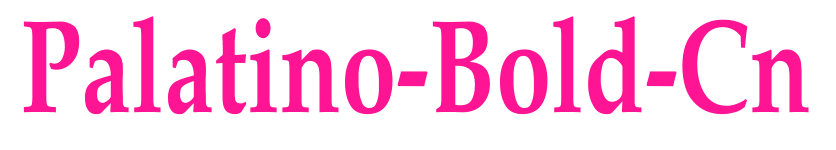 Palatino-Bold-Cn預覽圖片
