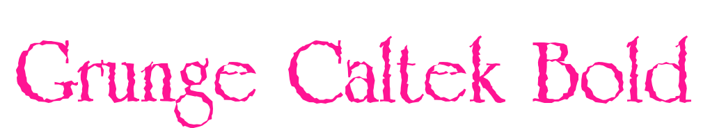 Grunge Caltek Bold預(yù)覽圖片