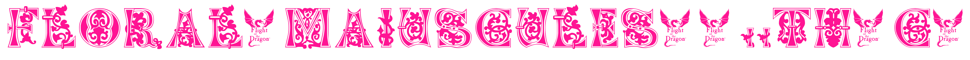 Floral-Majuscules,-11th-c-預覽圖片