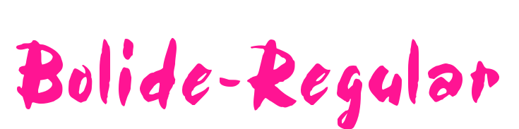 Bolide-Regular預(yù)覽圖片