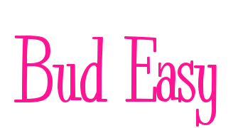 Bud Easy預覽圖片