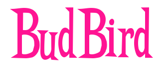 BudBird預(yù)覽圖片