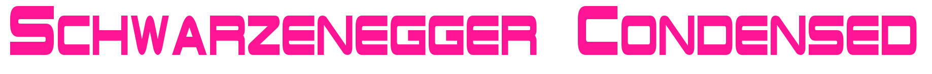 Schwarzenegger Condensed預(yù)覽圖片