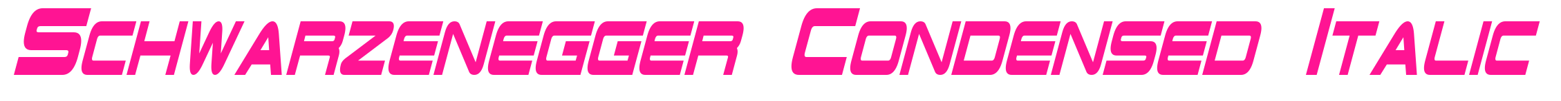 Schwarzenegger Condensed Italic預(yù)覽圖片