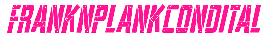 franknplankcondital預(yù)覽圖片