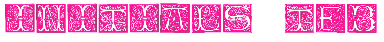 Initials TFB預覽圖片