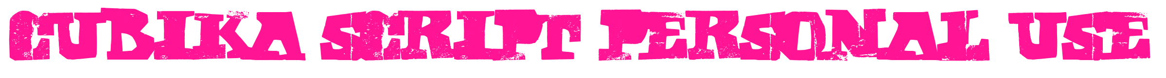 CUBIKA SCRIPT Personal Use預(yù)覽圖片