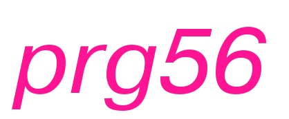 prg56預覽圖片
