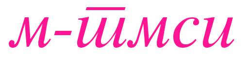 m-tmsi預覽圖片