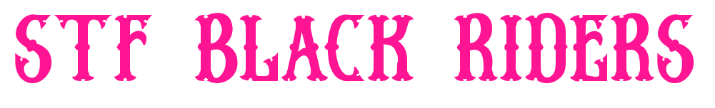 Stf BLACK RIDERS預(yù)覽圖片