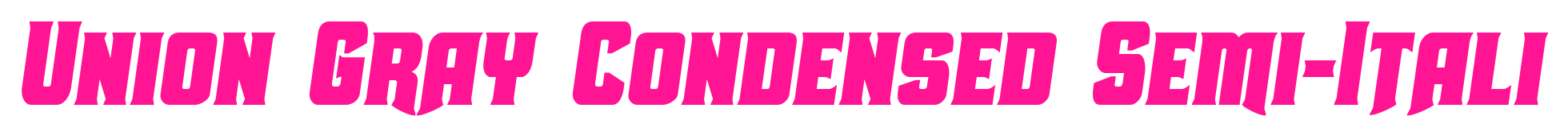 Union Gray Condensed Semi-Itali預(yù)覽圖片