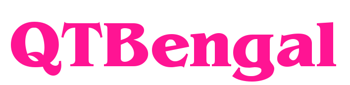 QTBengal預覽圖片