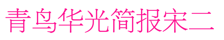 青鳥華光簡(jiǎn)報(bào)宋二預(yù)覽圖片