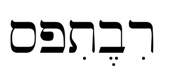 sptiberi預覽圖片