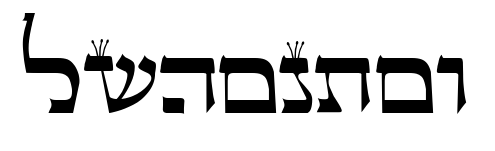 lshontov預覽圖片