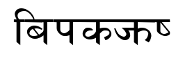 lakshmi預覽圖片
