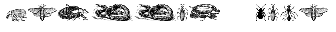 Grissom Four預(yù)覽圖片