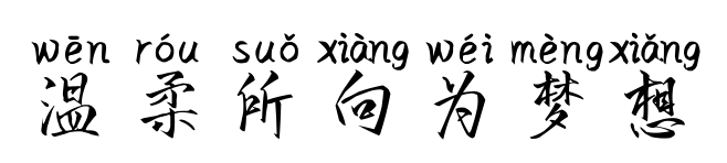 溫柔所向?yàn)閴?mèng)想	