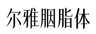爾雅胭脂體預覽圖片