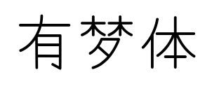 有夢體預覽圖片